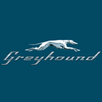 Greyhound