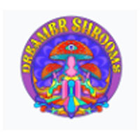 Dreamer Shrooms