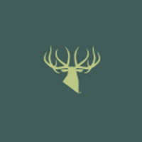 Kings Camo