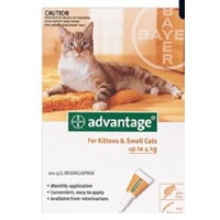 Advantage Kittens & Small Cats 1-10lbs