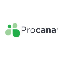 Procana Christmas Deal | 20% Off On CBD Arnica Menthol